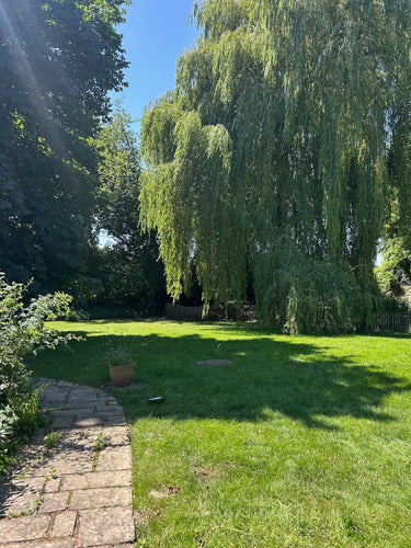 Walker - Garten