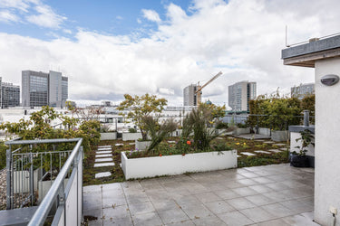 Doug - Dachterrasse