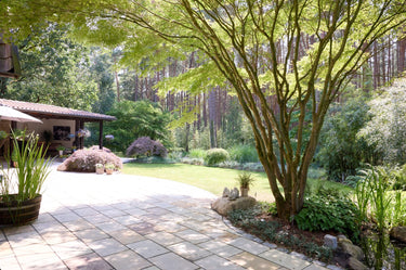 Ernesto - Garden