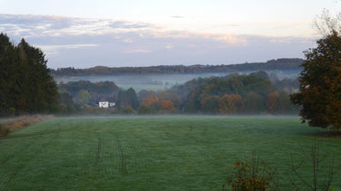 Griffith - Ausblick