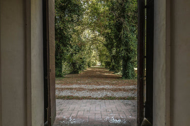 Isabella - Weg