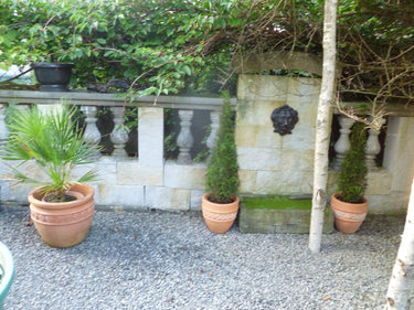 Wallis - Garten