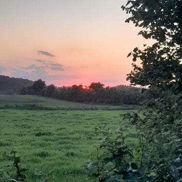 Alain - Außenbereich - 2