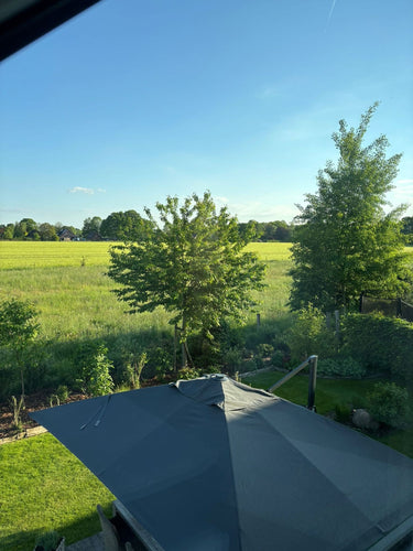 Linden - Ausblick