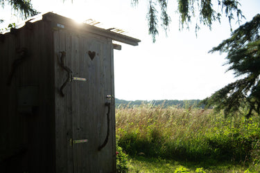 Elsie - Outdoor area
