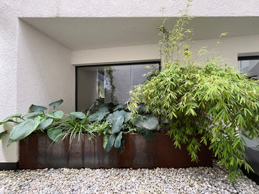 Charm - Garten