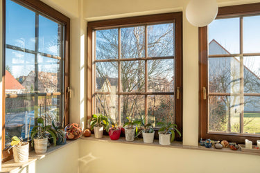 Domingo - Wintergarten
