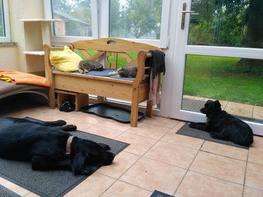 Alain - Wintergarten