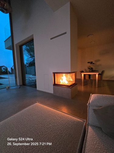 Mikey - Fireplace
