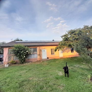 Alain - Gebäude - 2