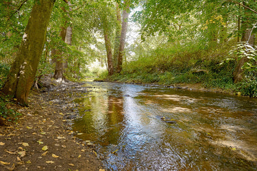 Jani - Fließendes Wasser