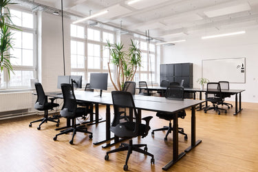 Rocky - Büro