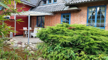 Glen - Terrasse