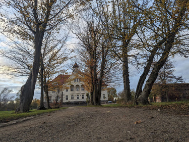 Ruth - Allee