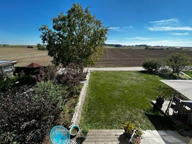 Berton - Feld