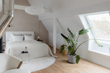 Fox - Schlafzimmer