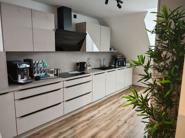 Lazar - Kitchen