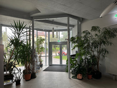 Fanny - Empfangsbereich
