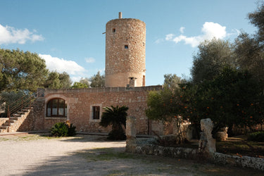 Eda