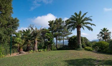 Isla - Außenbereich