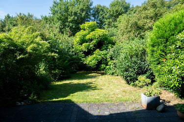 Hannelore - Garten