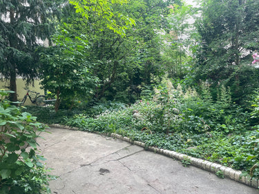 Marcy - Garten - 2