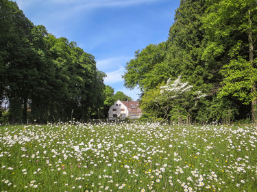 Michi - Garten
