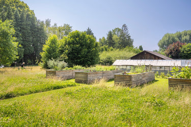 Ludwig - Garten