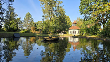 Hansi