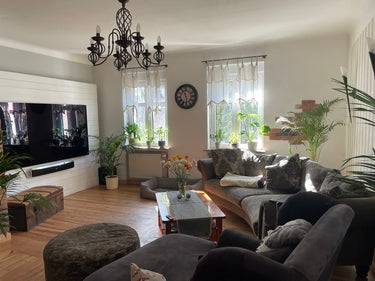 Cox - Wohnzimmer
