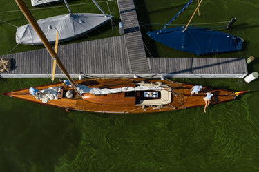 Rochelle - Deck