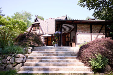 Ernesto - Exterior View