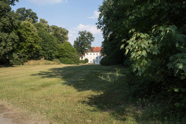 Sele - Wiese