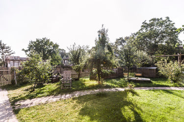 Kea - Garten