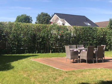 Choosri - Garten - 2