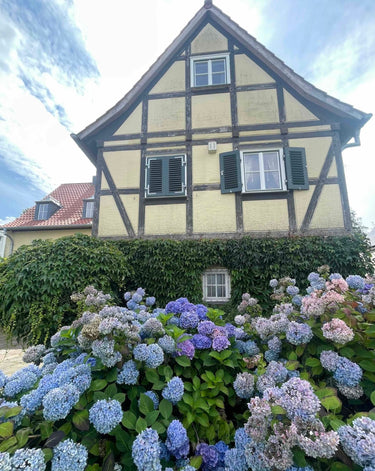 Constantine - Außenbereich