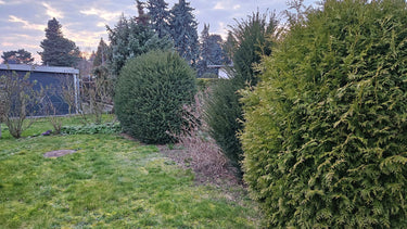 Heinrich - Garten