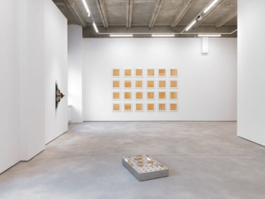 Irma - Ausstellungsfläche