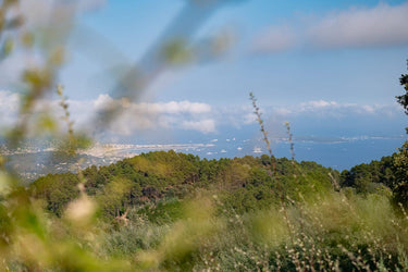 Isla - Ausblick
