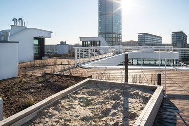 Lucette - Dachterrasse