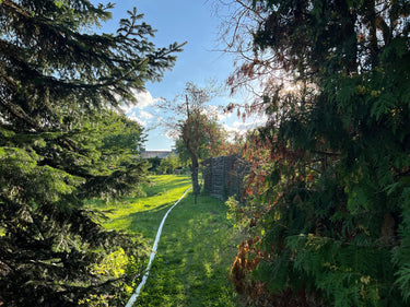 Margarete - Garten