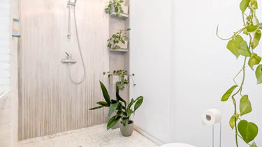 Meus - Badezimmer