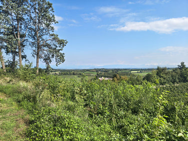 Iline - Ausblick