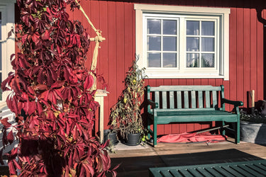 Gerd - Terrasse