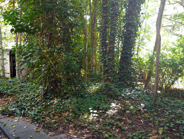 Gitta - Garten