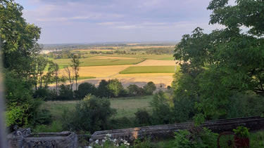 Olivia - Ausblick