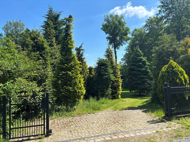 Ferdy - Driveway
