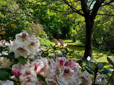 Lene - Garten